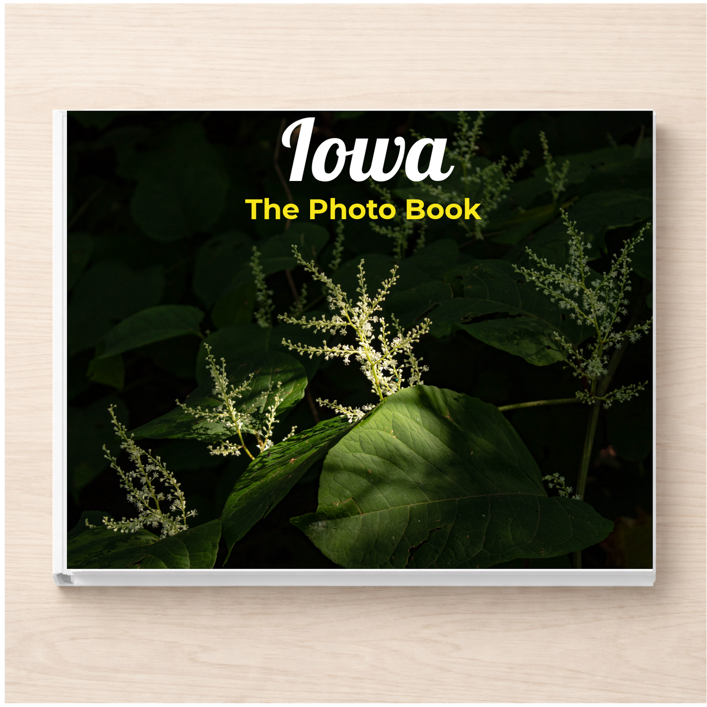 Iowa: The Photo Book
