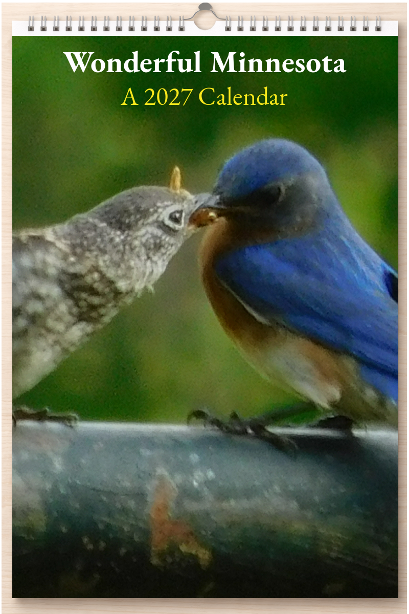 Wonderful Minnesota: A 2027 Calendar