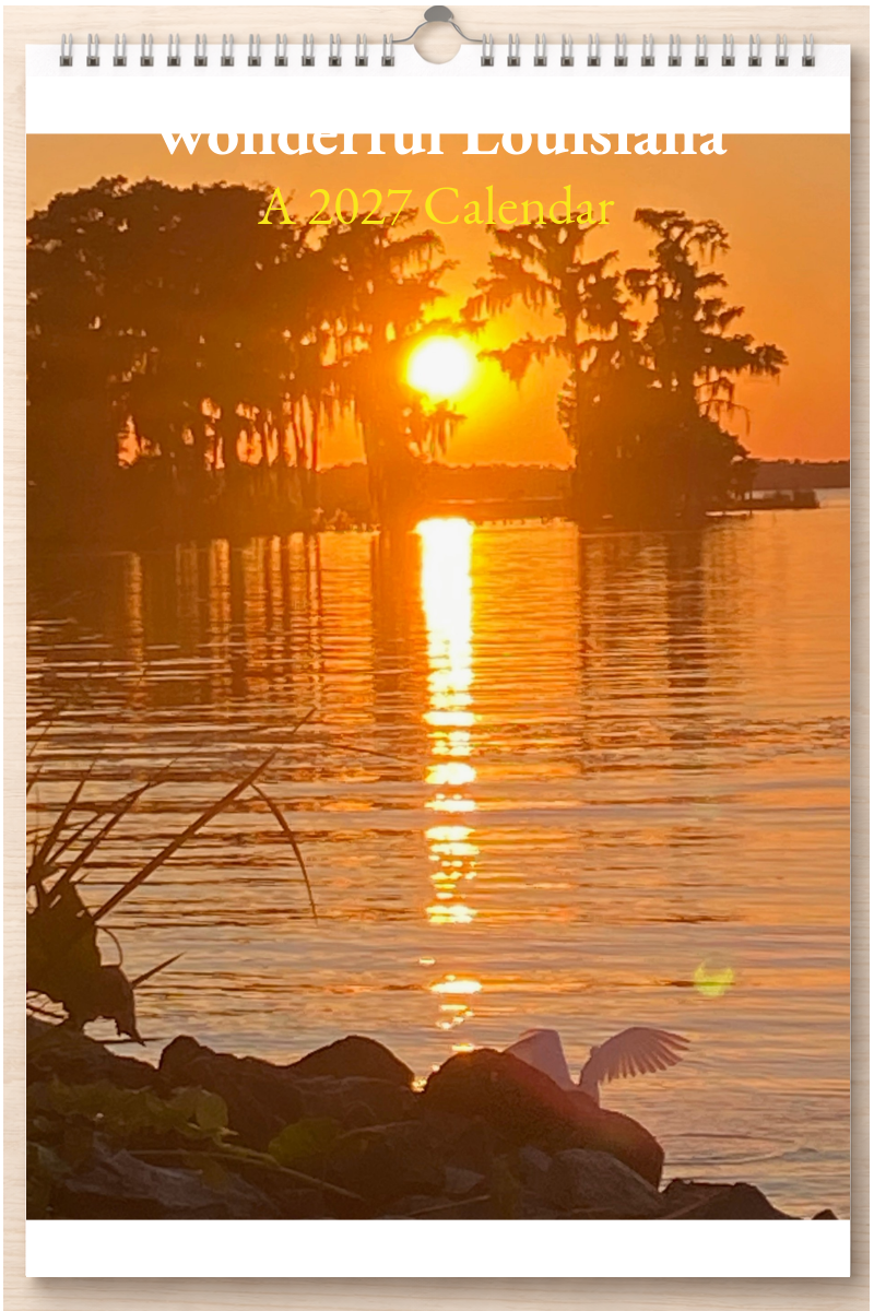 Wonderful Louisiana: A 2027 Calendar
