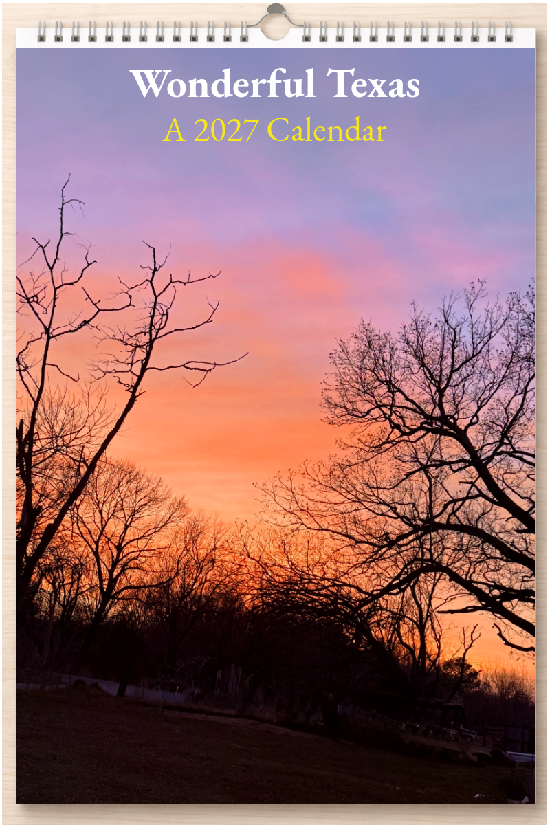 Wonderful Texas: A 2027 Calendar