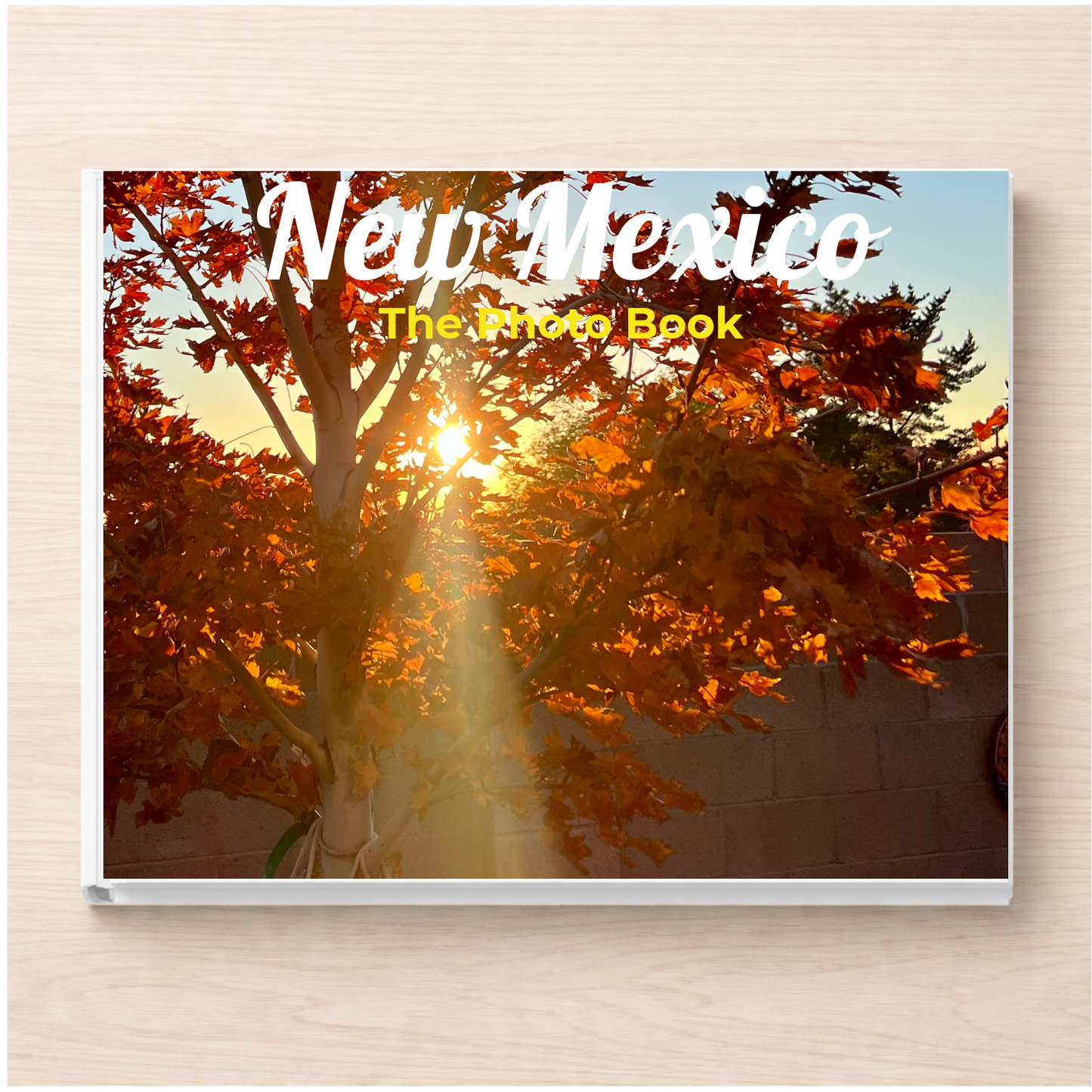 New Mexico: The Photo Book