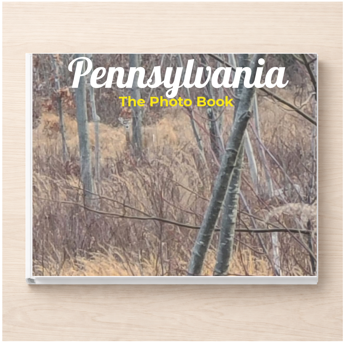 Pennsylvania: The Photo Book
