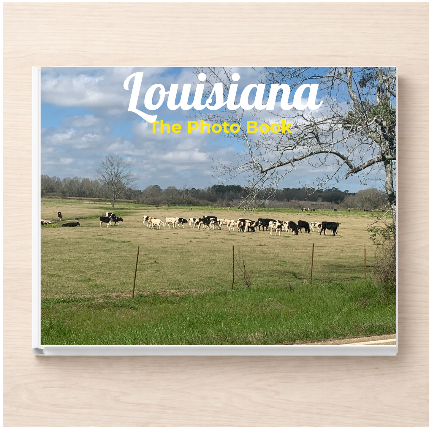 Louisiana: The Photo Book