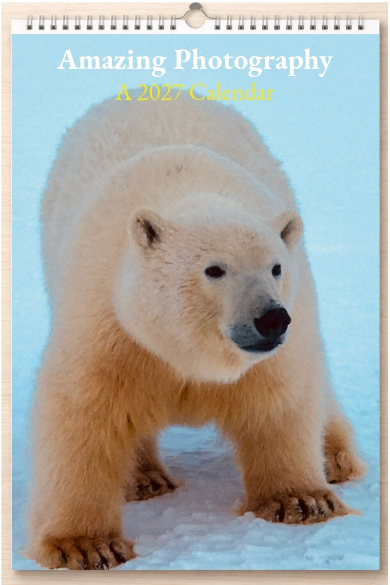 Amazing Photography: A 2027 Calendar
