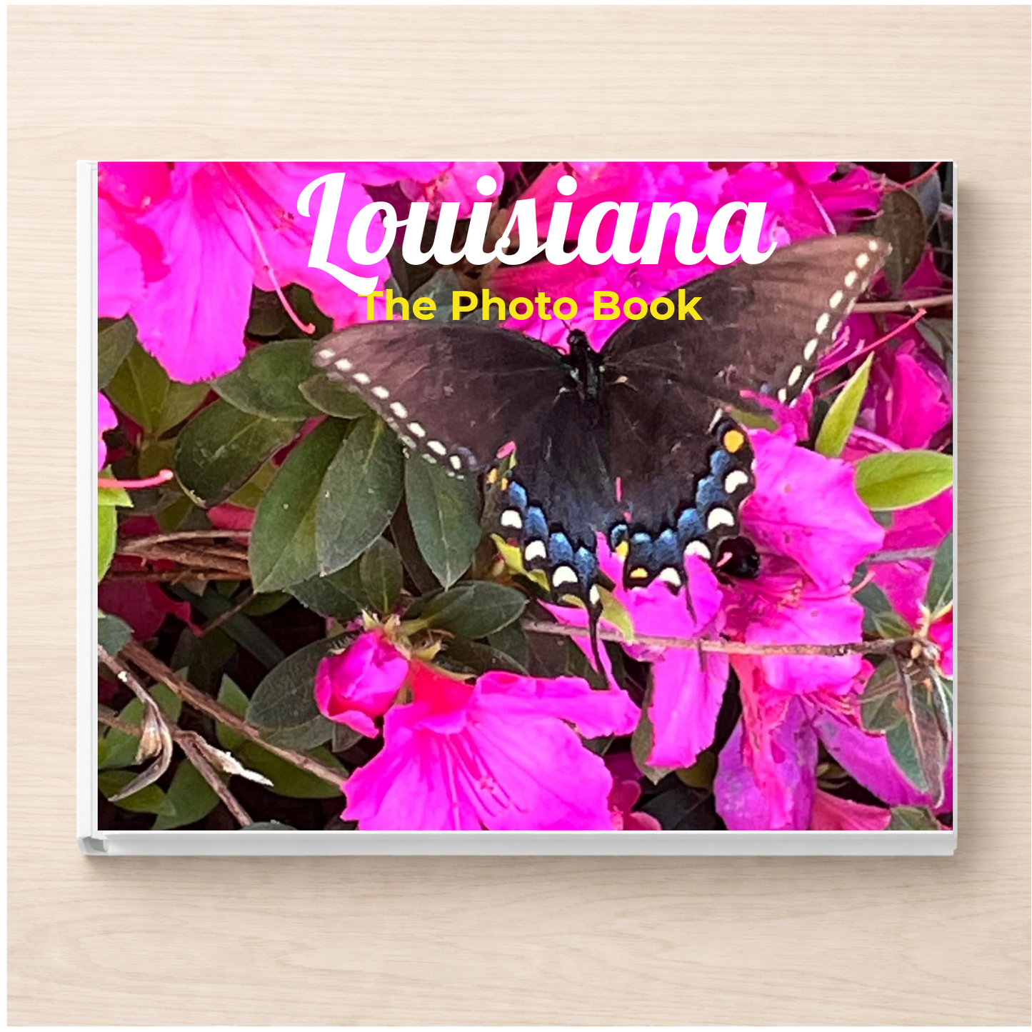 Louisiana: The Photo Book