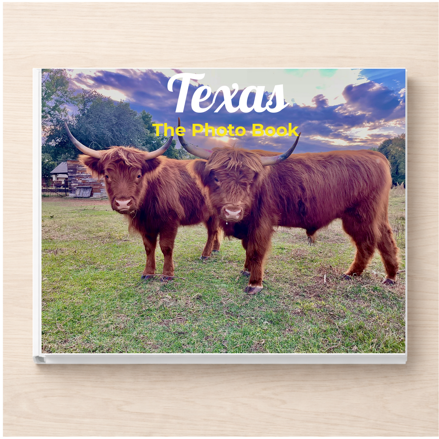 Texas: The Photo Book
