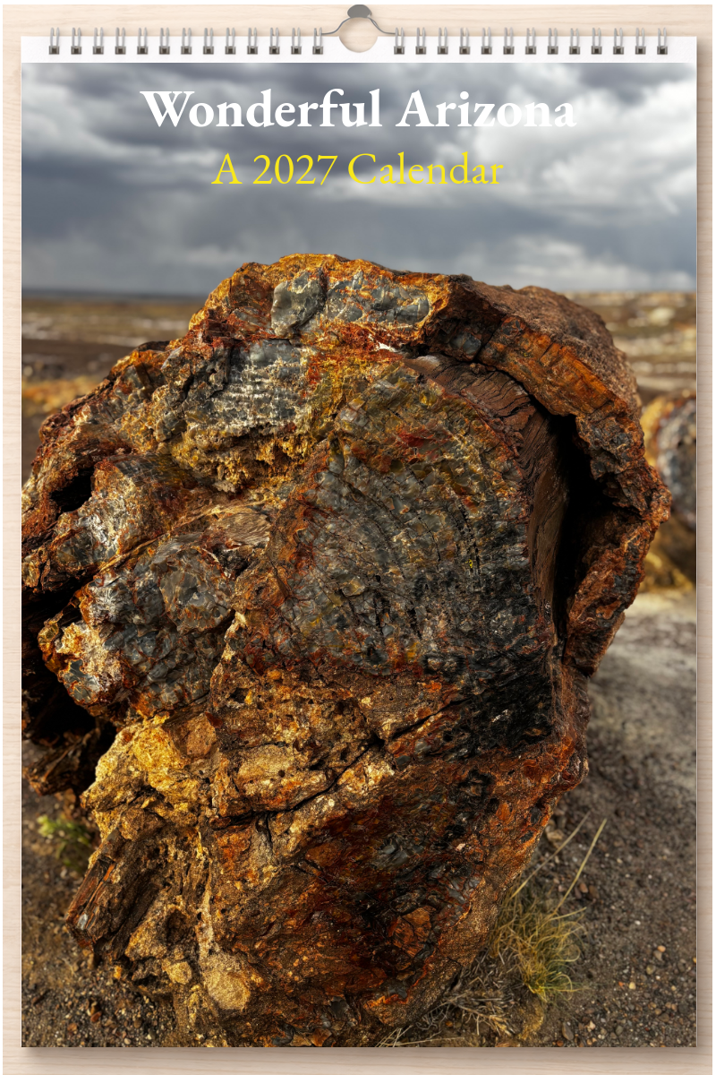 Wonderful Arizona: A 2027 Calendar