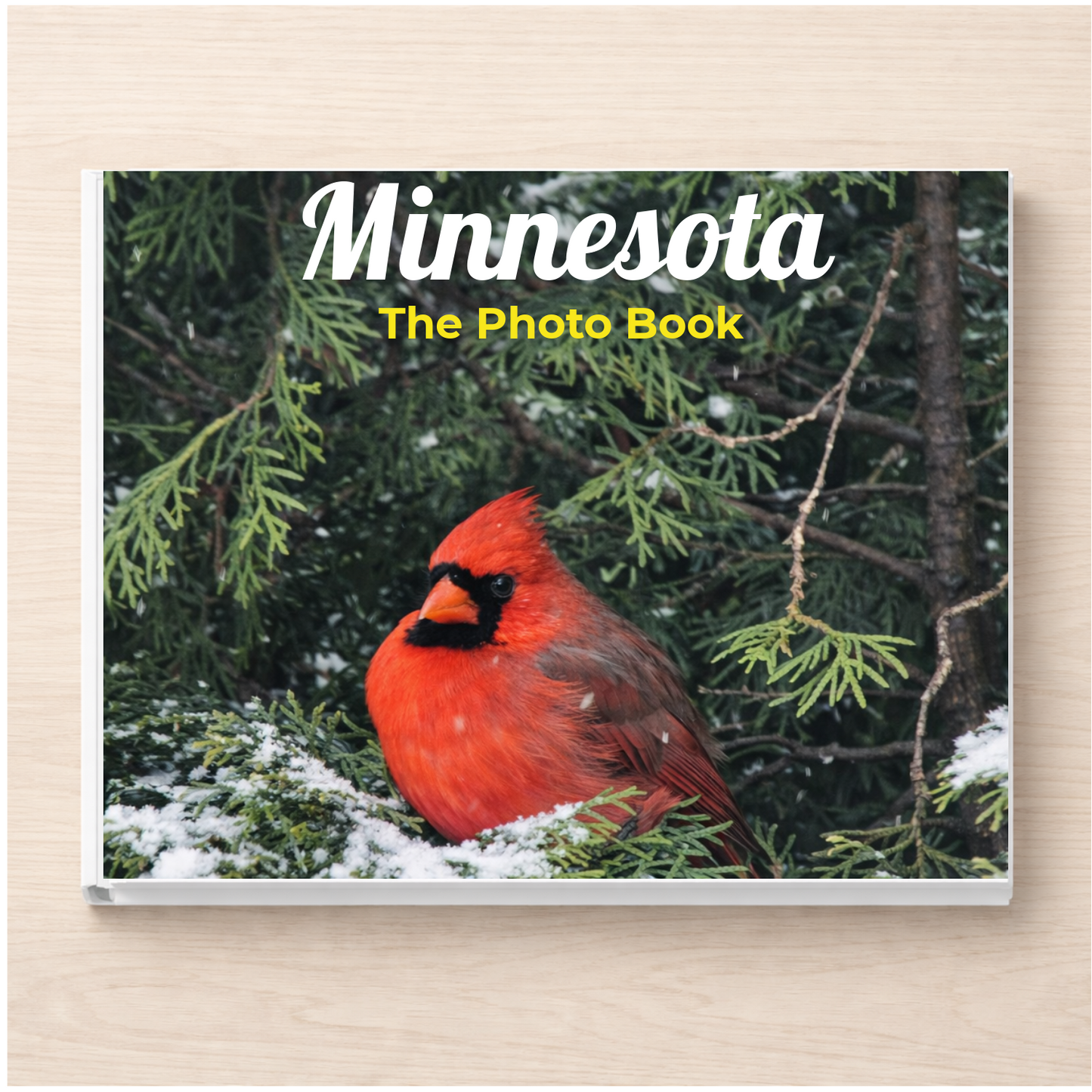 Minnesota: The Photo Book