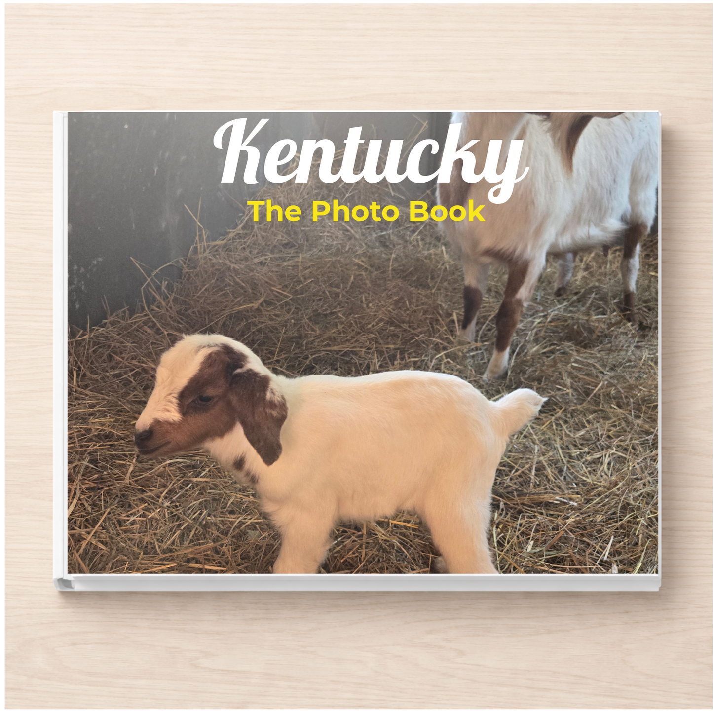 Kentucky: The Photo Book