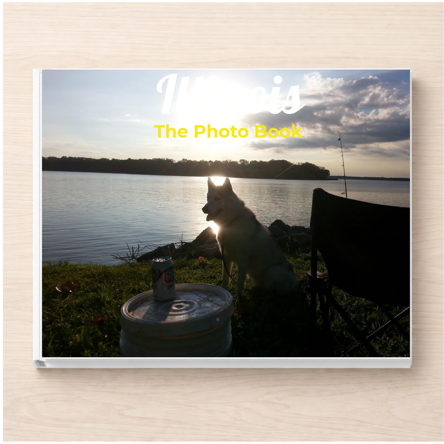 Illinois: The Photo Book