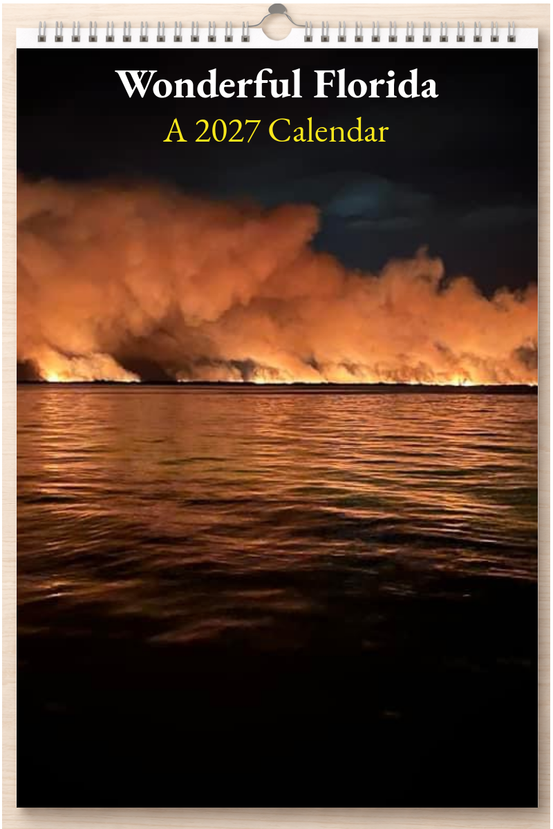 Wonderful Florida: A 2027 Calendar