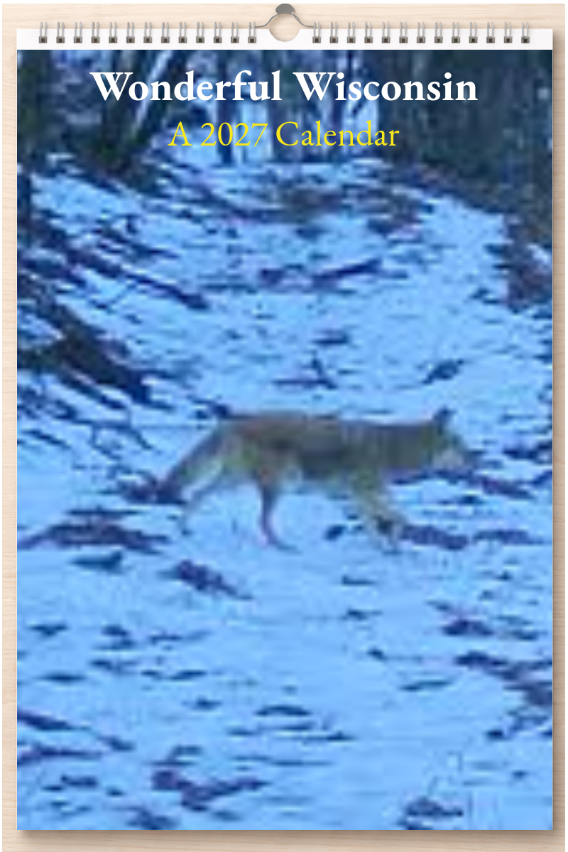 Wonderful Wisconsin: A 2027 Calendar