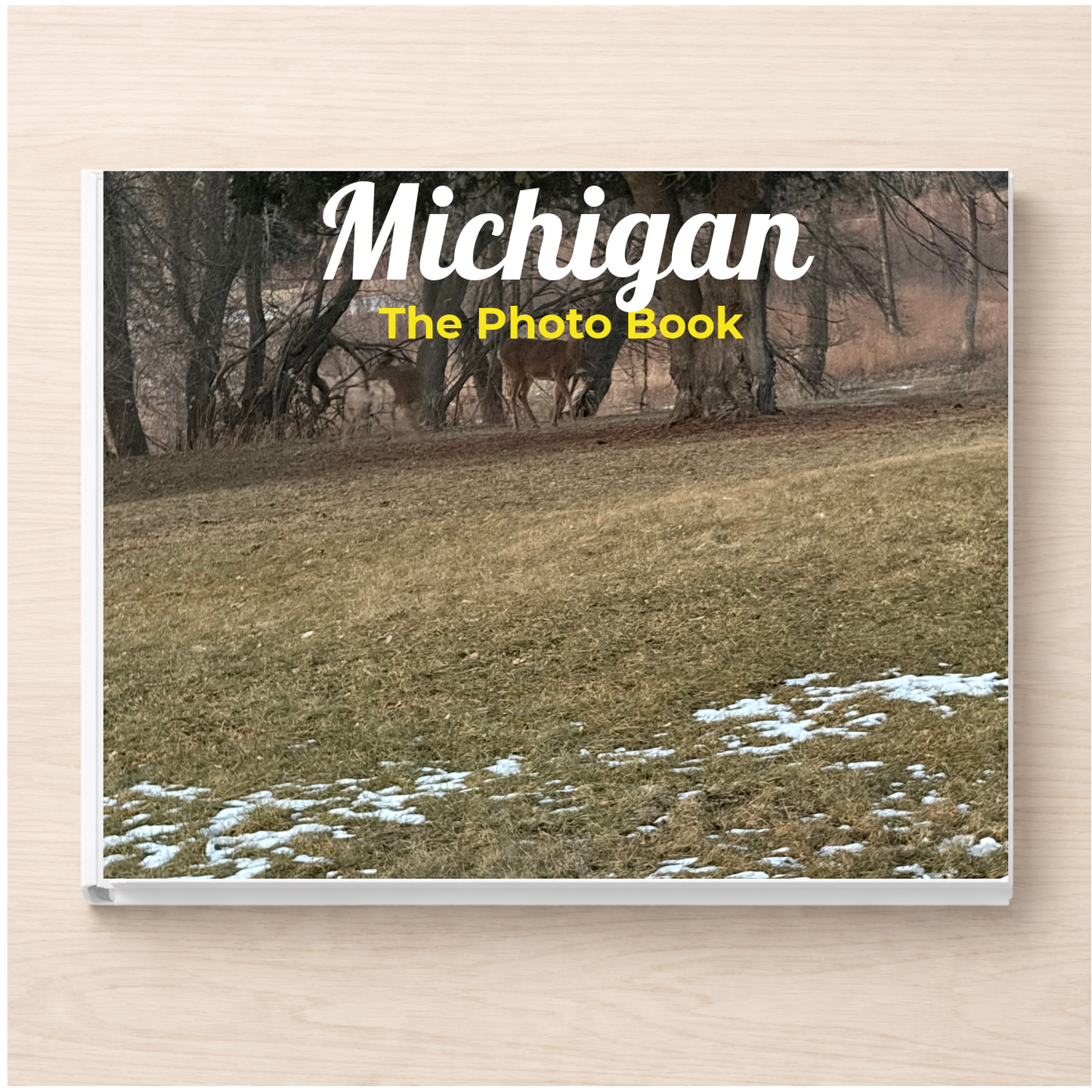 Michigan: The Photo Book