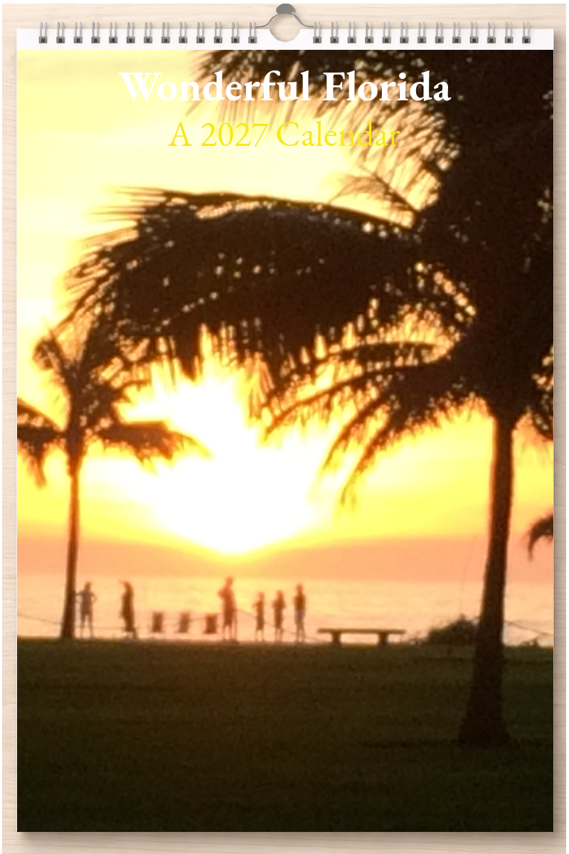 Wonderful Florida: A 2027 Calendar