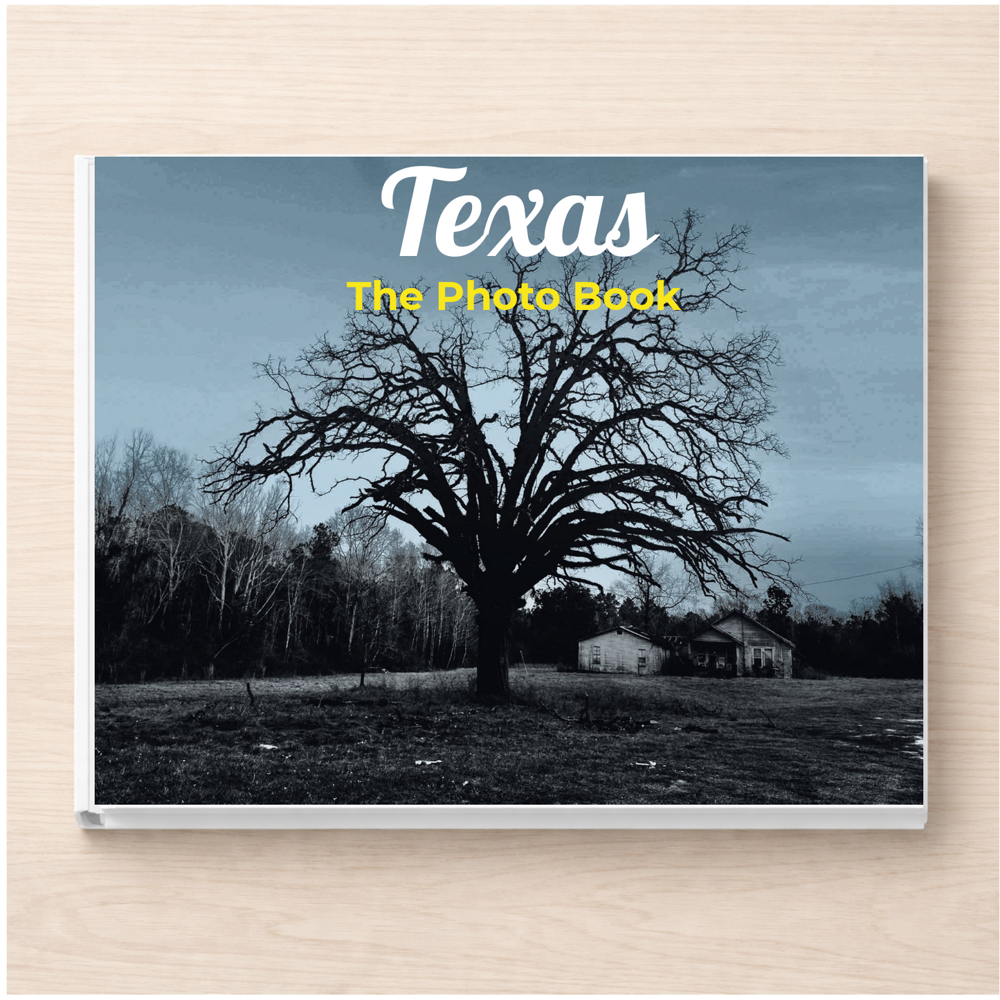Texas: The Photo Book