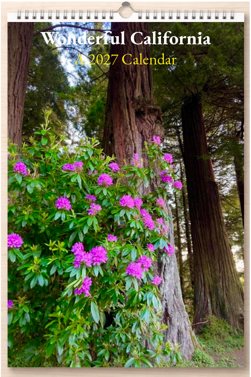 Wonderful California: A 2027 Calendar