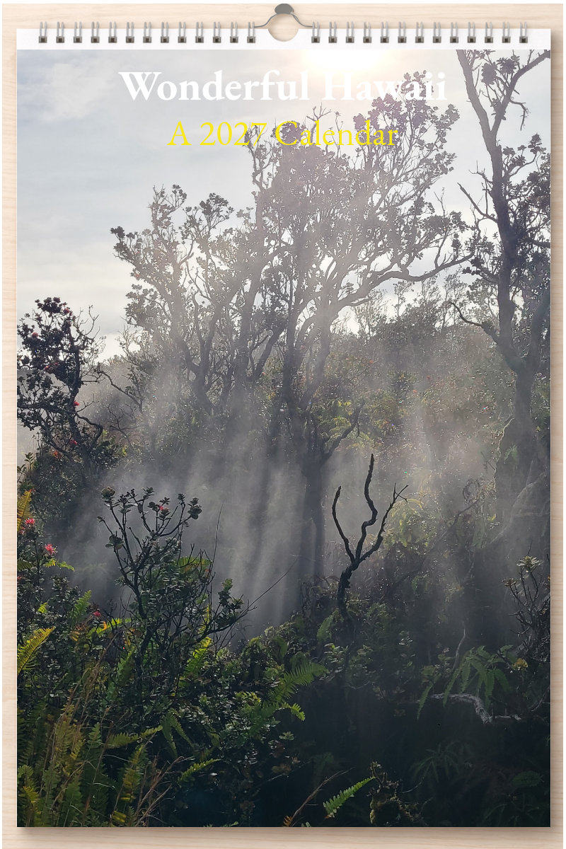 Wonderful Hawaii: A 2027 Calendar
