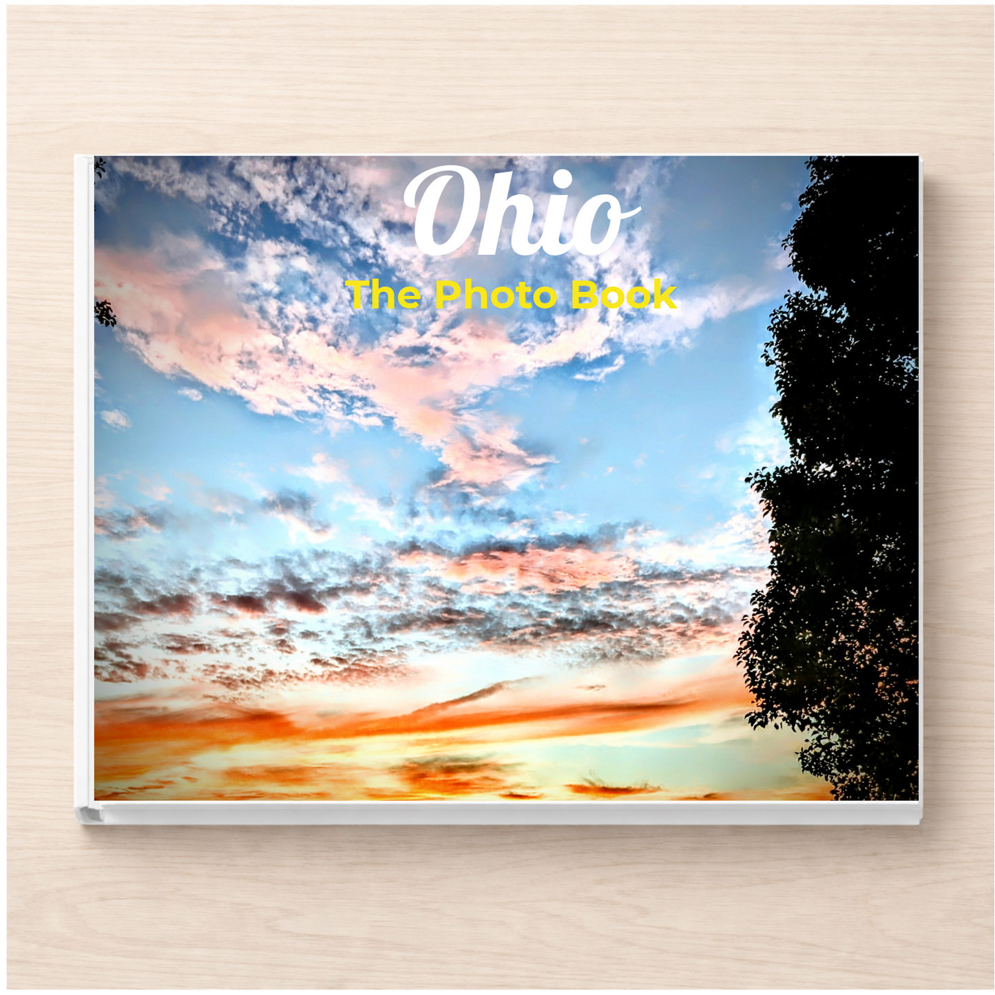 Ohio: The Photo Book