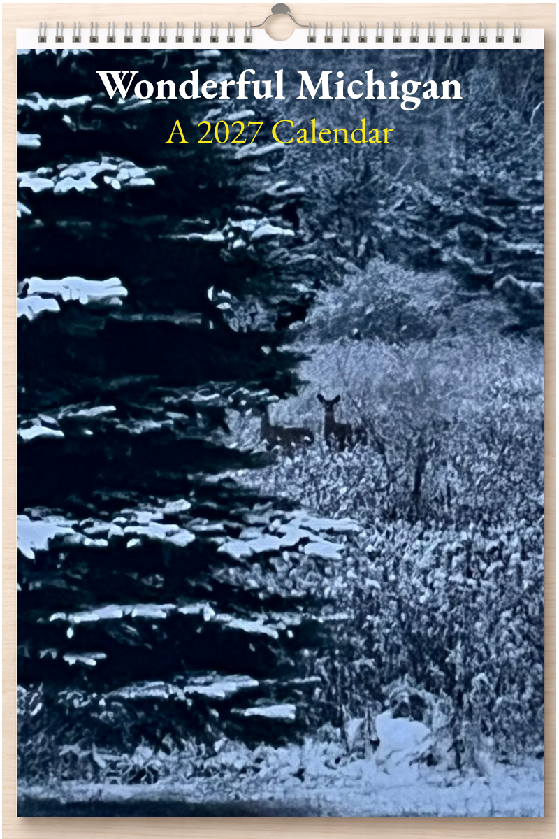Wonderful Michigan: A 2027 Calendar