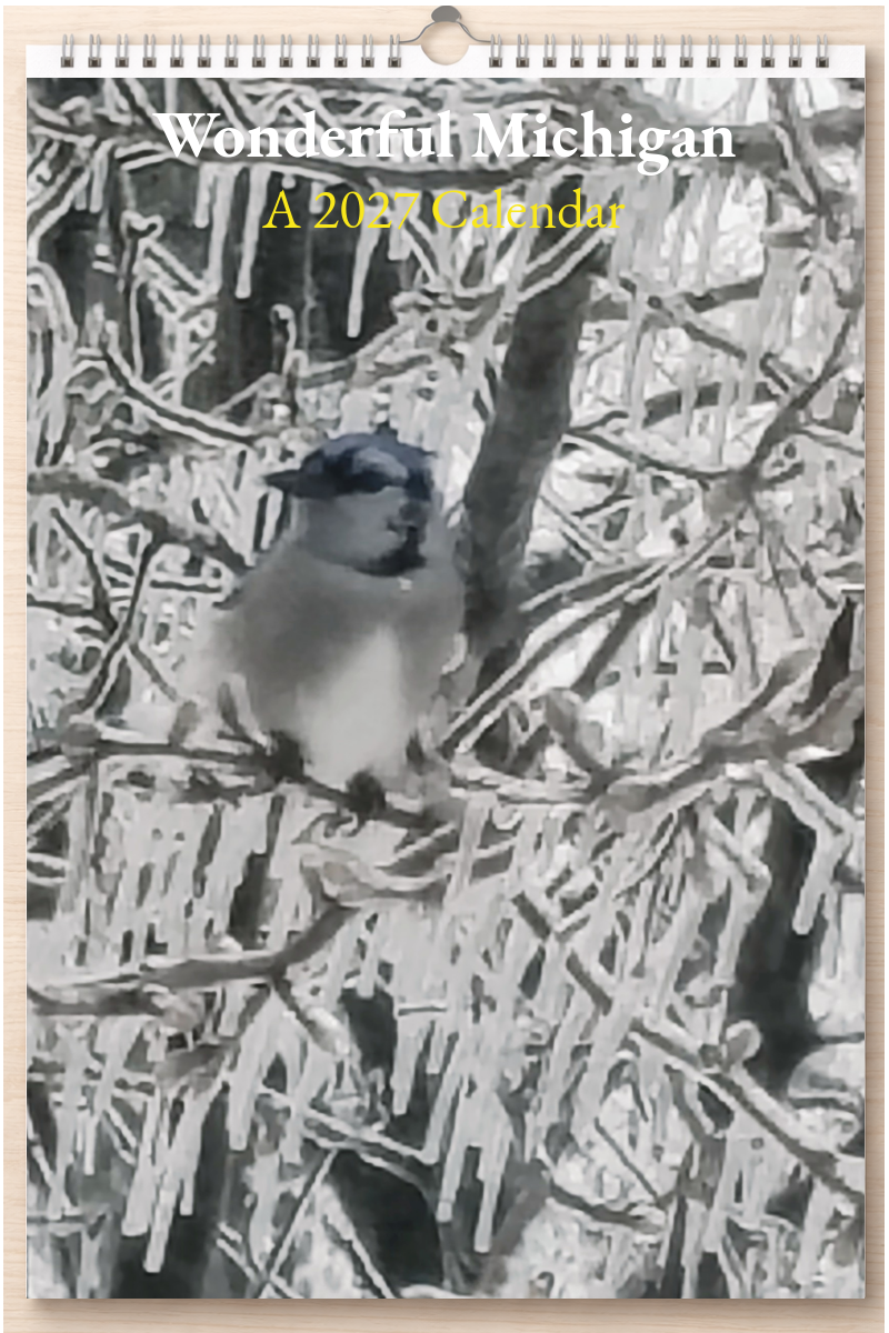 Wonderful Michigan: A 2027 Calendar