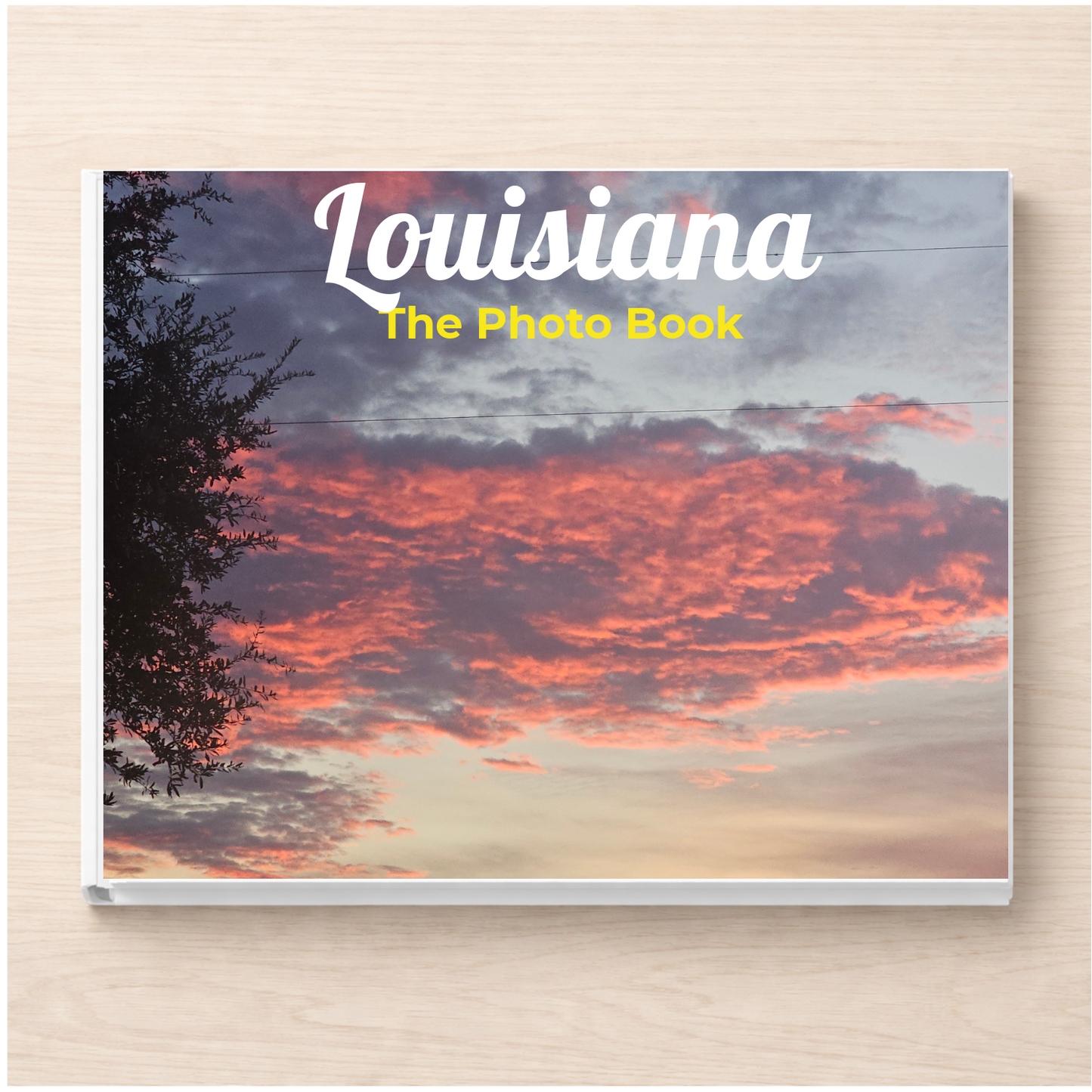 Louisiana: The Photo Book