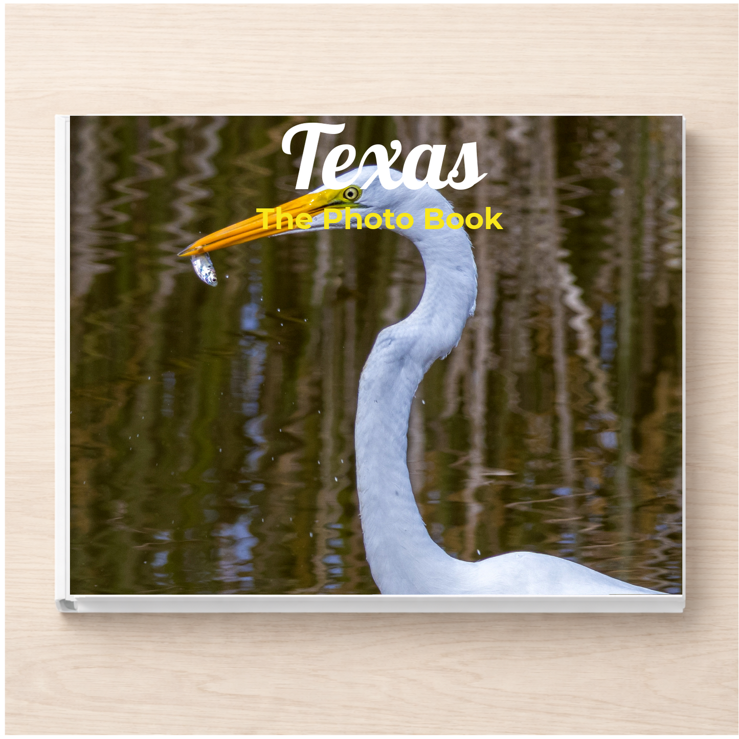 Texas: The Photo Book