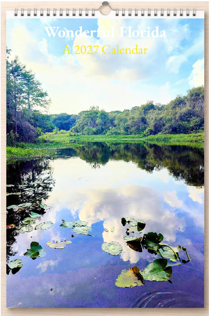 Wonderful Florida: A 2027 Calendar