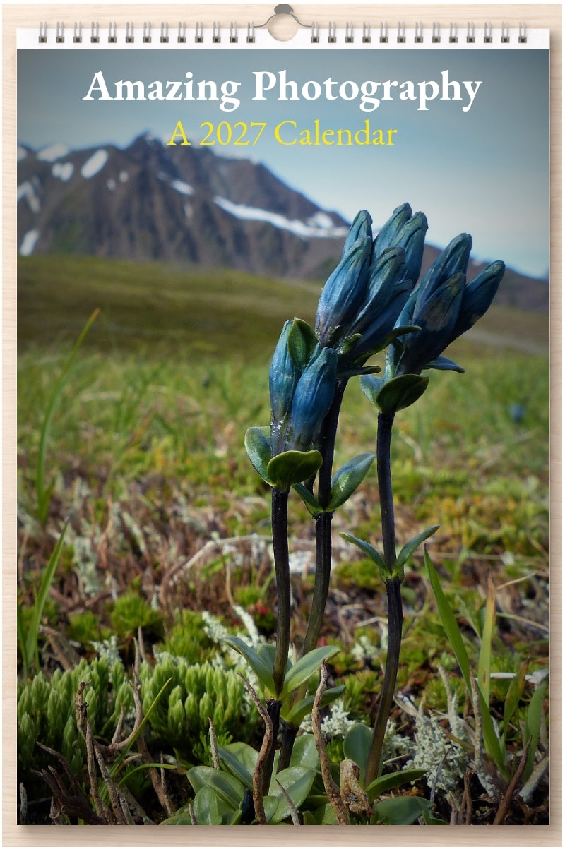 Amazing Photography: A 2027 Calendar
