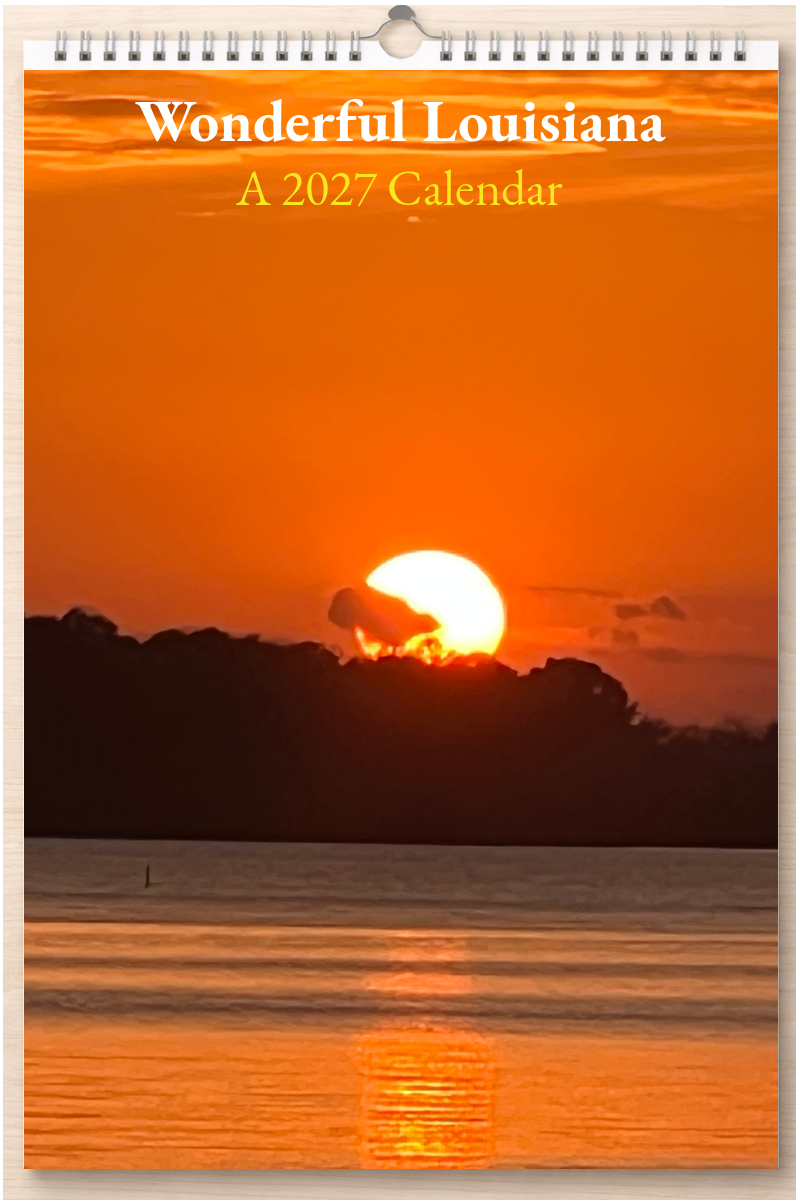 Wonderful Louisiana: A 2027 Calendar
