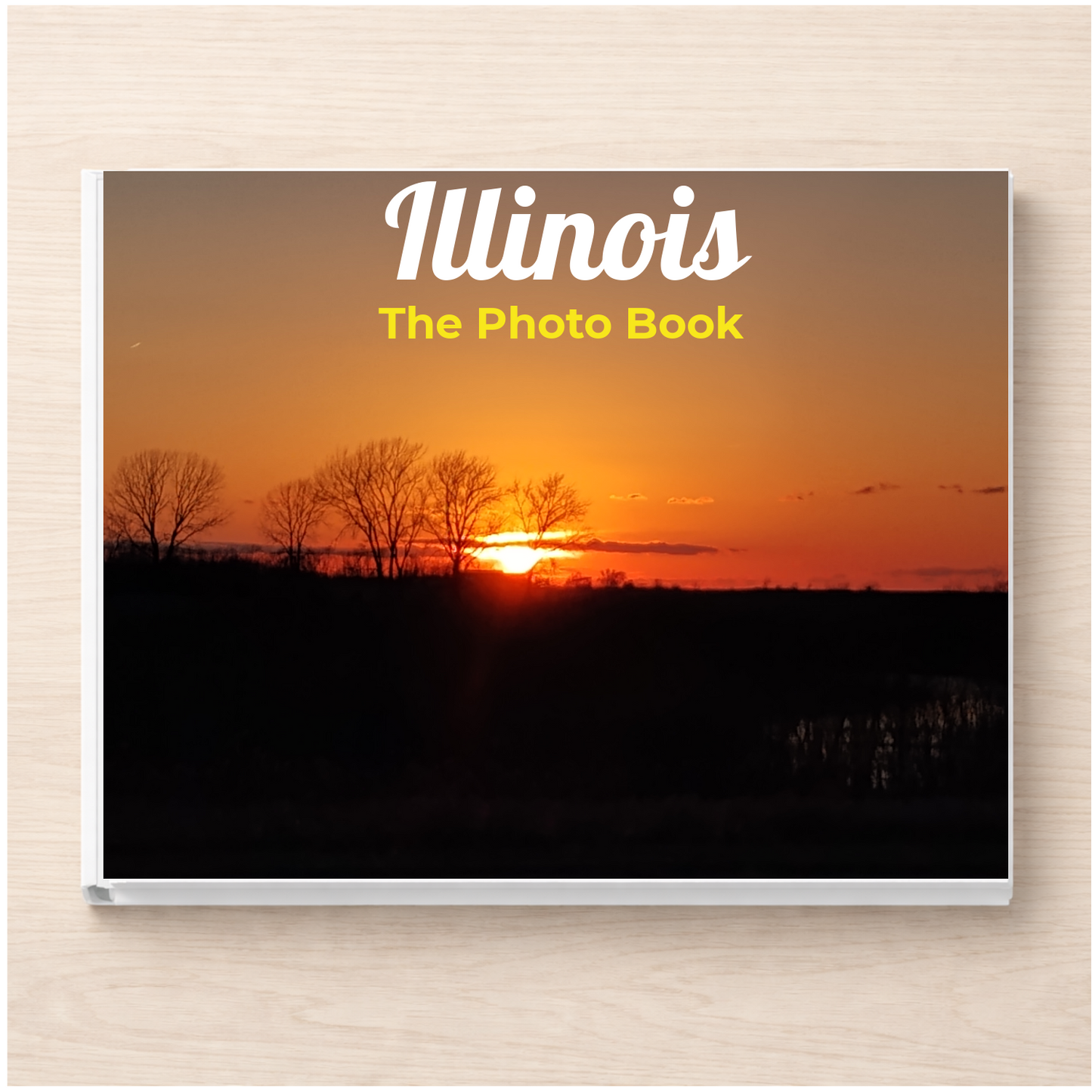 Illinois: The Photo Book