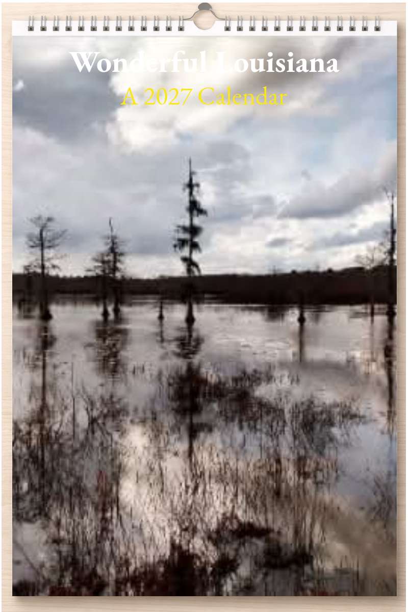 Wonderful Louisiana: A 2027 Calendar