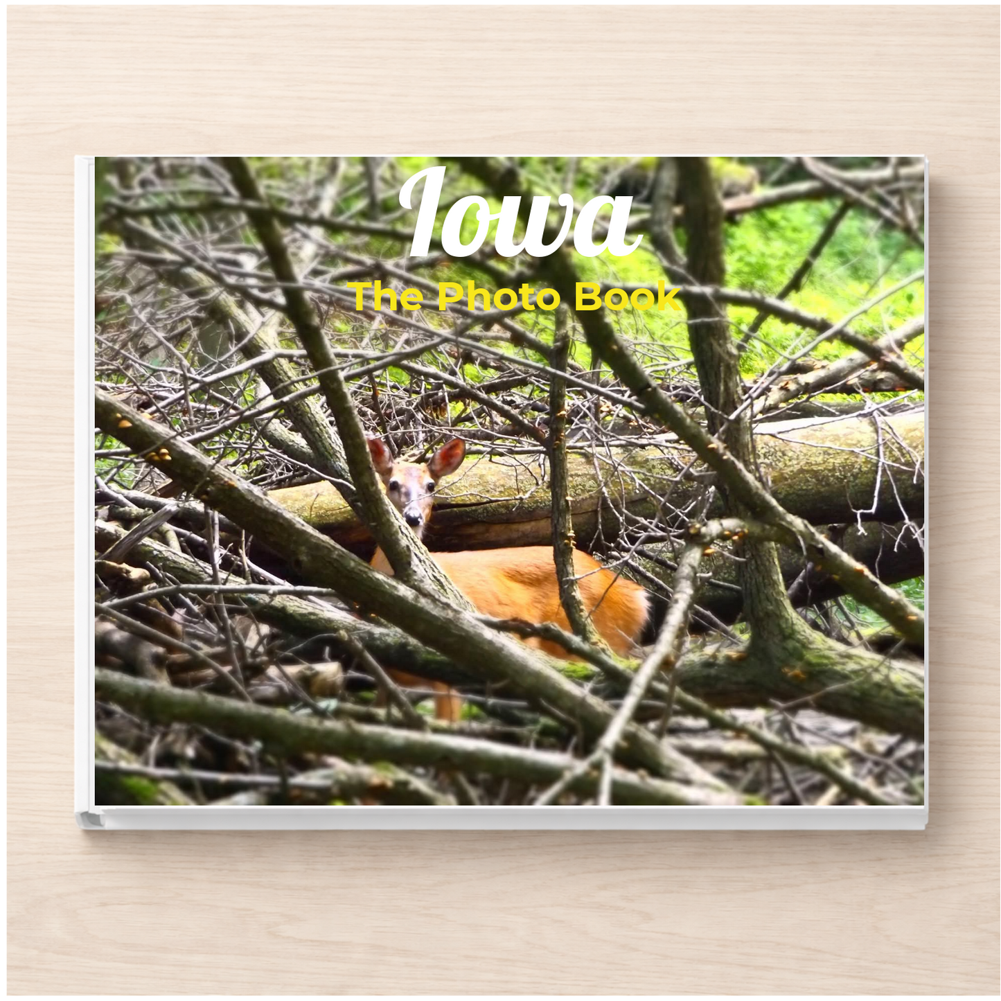 Iowa: The Photo Book