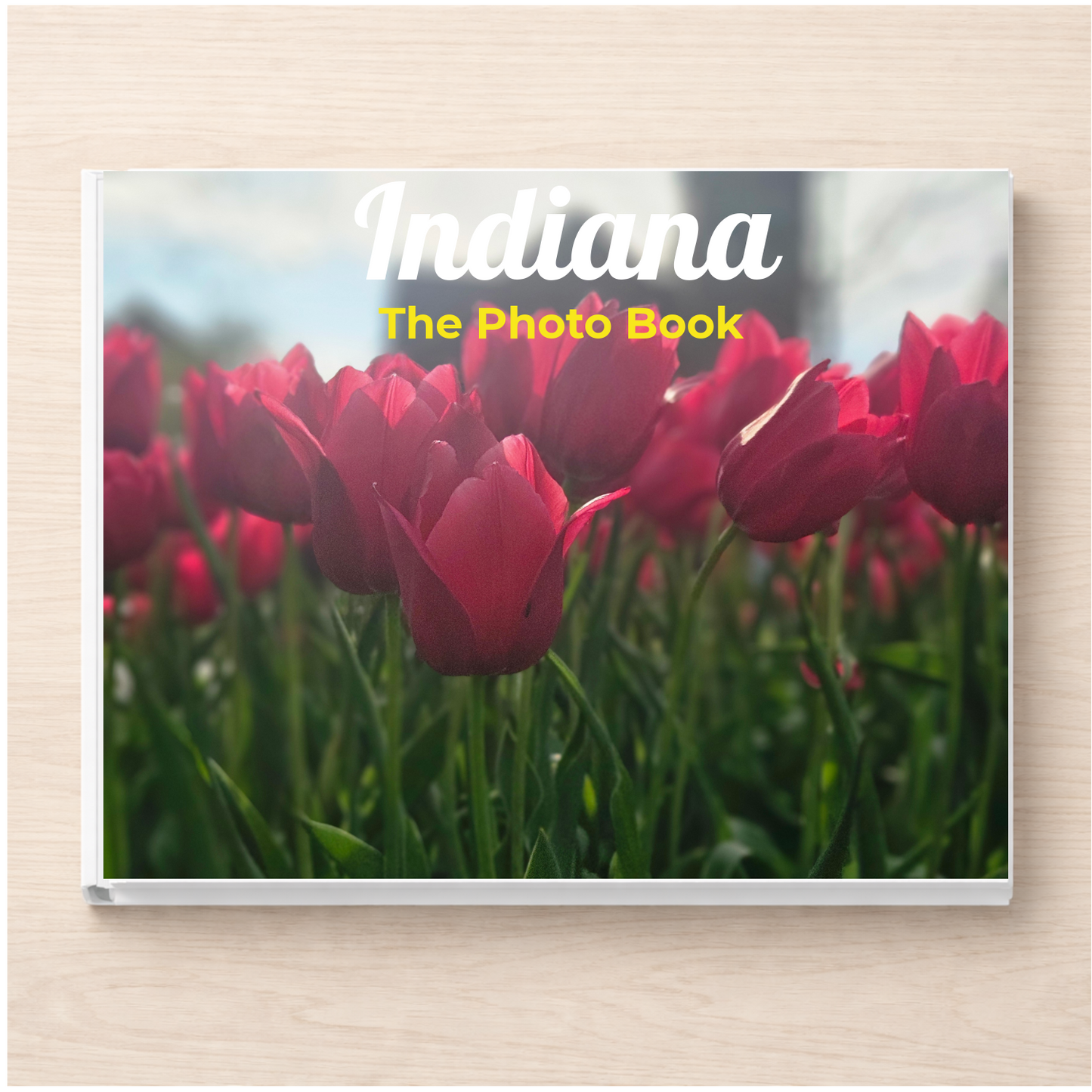 Indiana: The Photo Book