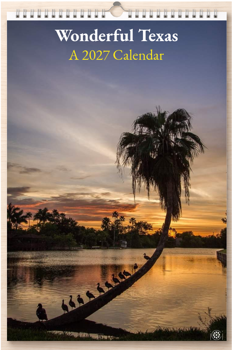 Wonderful Texas: A 2027 Calendar