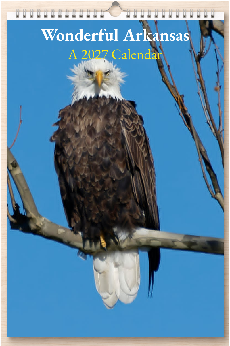 Wonderful Arkansas: A 2027 Calendar