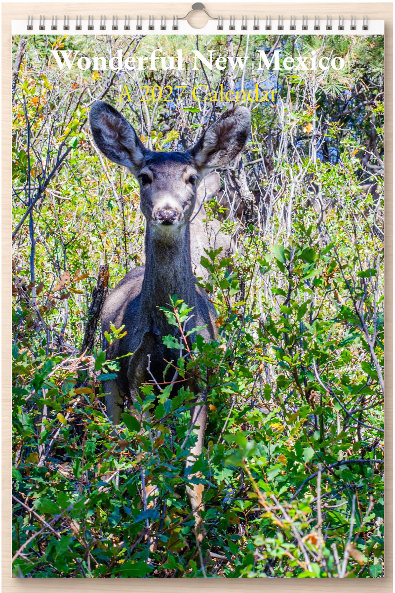 Wonderful New Mexico: A 2027 Calendar