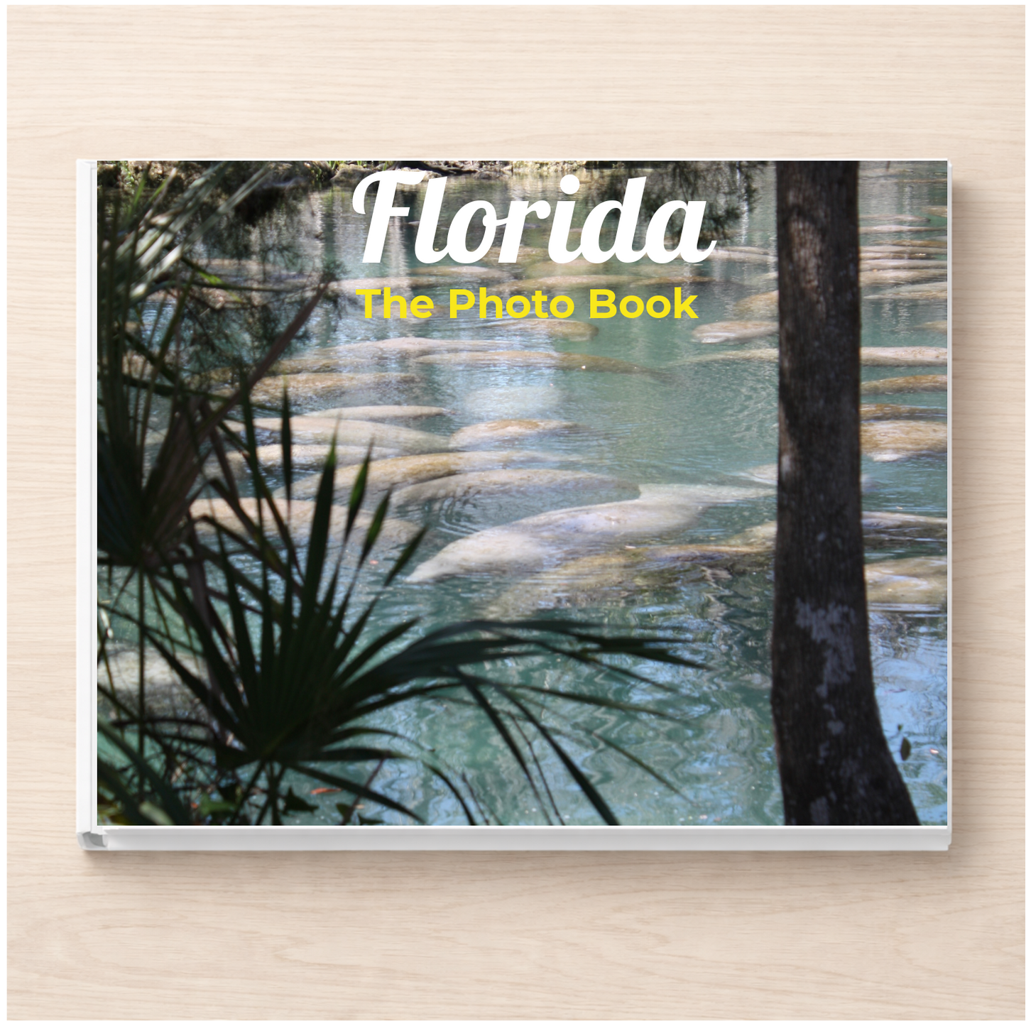 Florida: The Photo Book