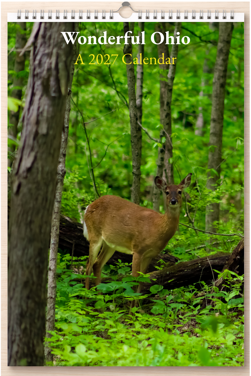 Wonderful Ohio: A 2027 Calendar