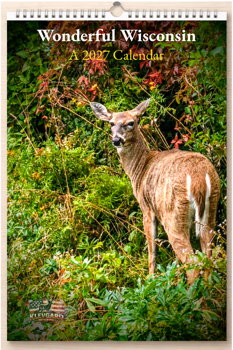 Wonderful Wisconsin: A 2027 Calendar