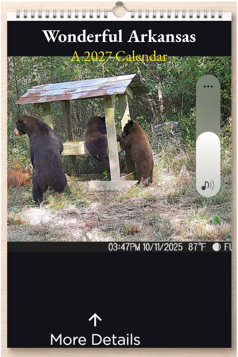 Wonderful Arkansas: A 2027 Calendar