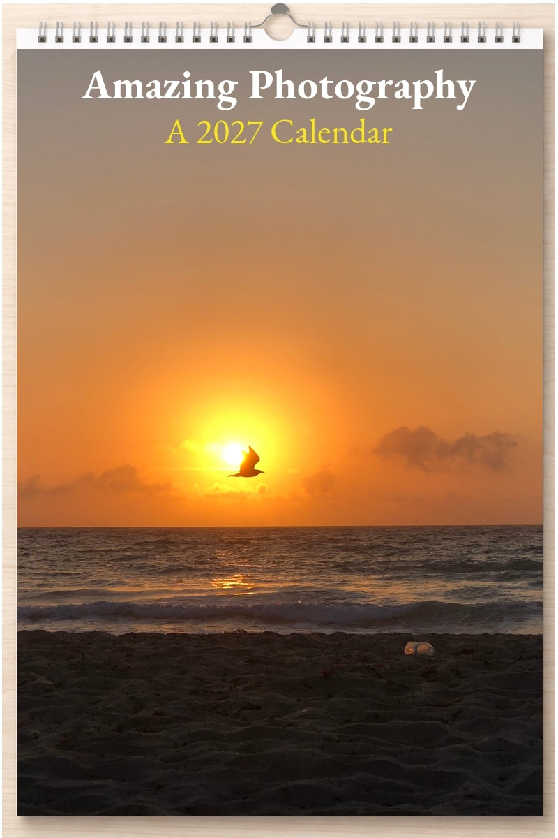 Amazing Photography: A 2027 Calendar