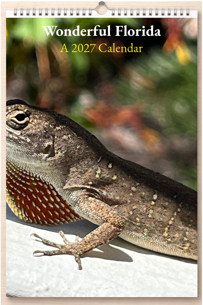 Wonderful Florida: A 2027 Calendar