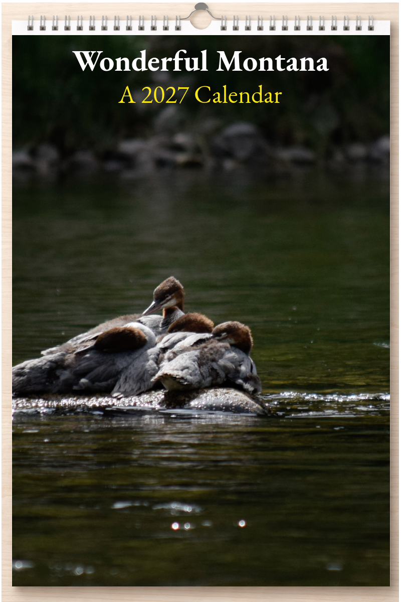 Wonderful Montana: A 2027 Calendar