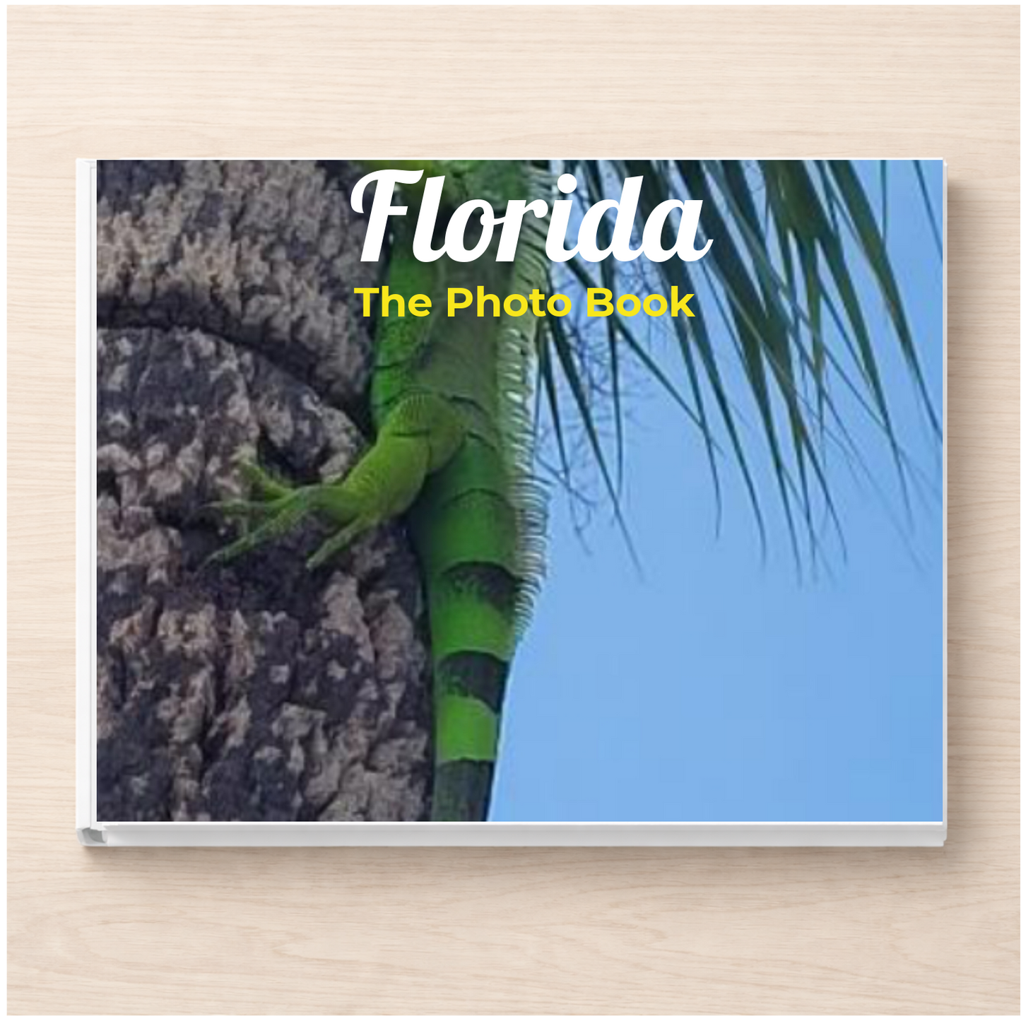 Florida: The Photo Book