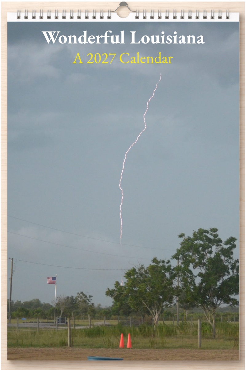 Wonderful Louisiana: A 2027 Calendar