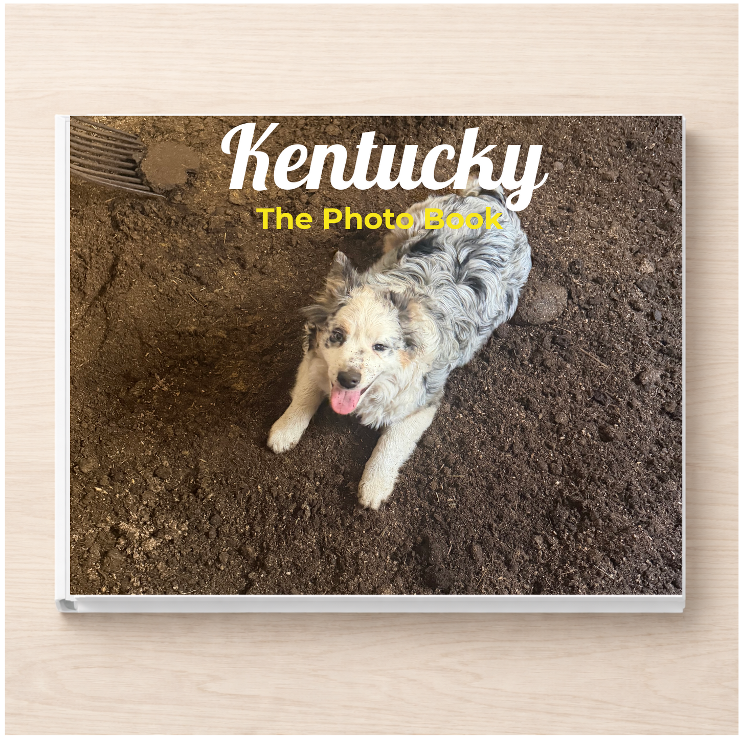 Kentucky: The Photo Book