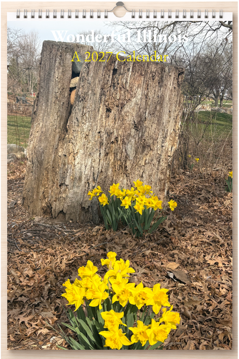 Wonderful Illinois: A 2027 Calendar