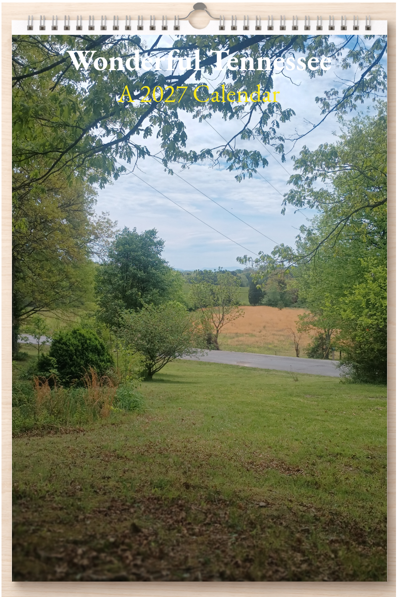 Wonderful Tennessee: A 2027 Calendar