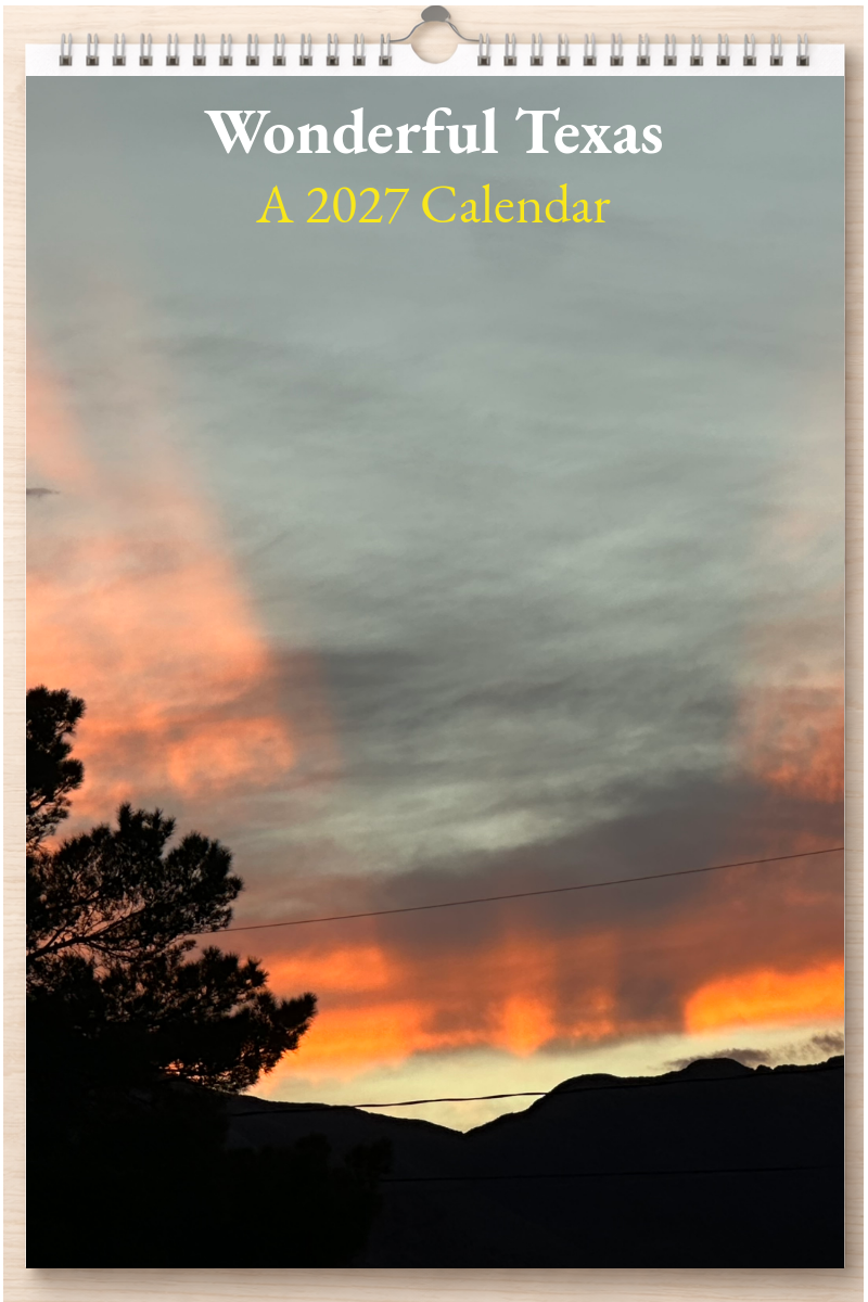 Wonderful Texas: A 2027 Calendar