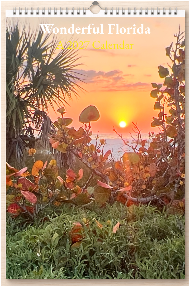 Wonderful Florida: A 2027 Calendar